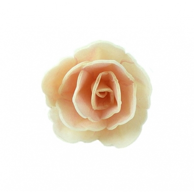 Róża chińska waflowa mała cieniowana pudrowa 1 sztuka